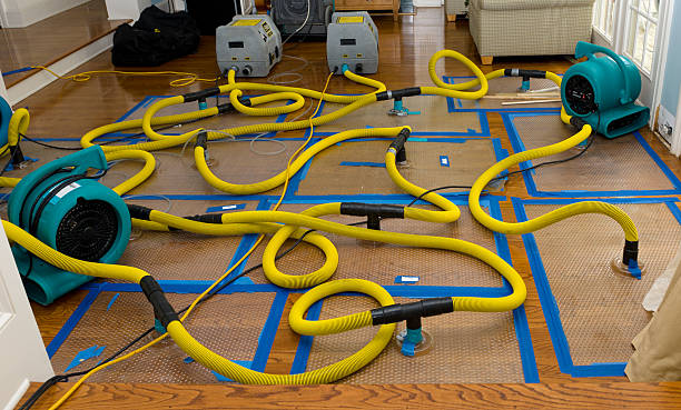 Professional Burst Pipe Water Damage technician working in Belfair, WA